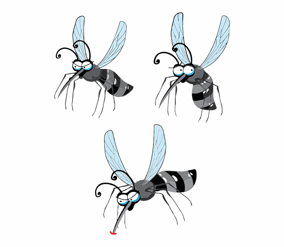 Zika Virus Dengue Gnat Midge Mosquito Mosquito Da Clip Art Library