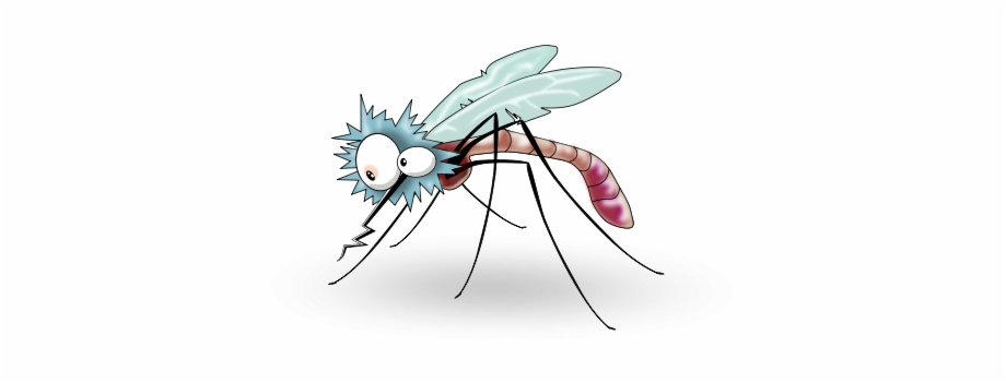 Transparent Background Mosquito Clipart