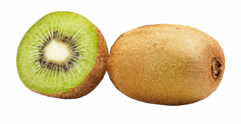 Kiwi Transparent File Kiwifruit