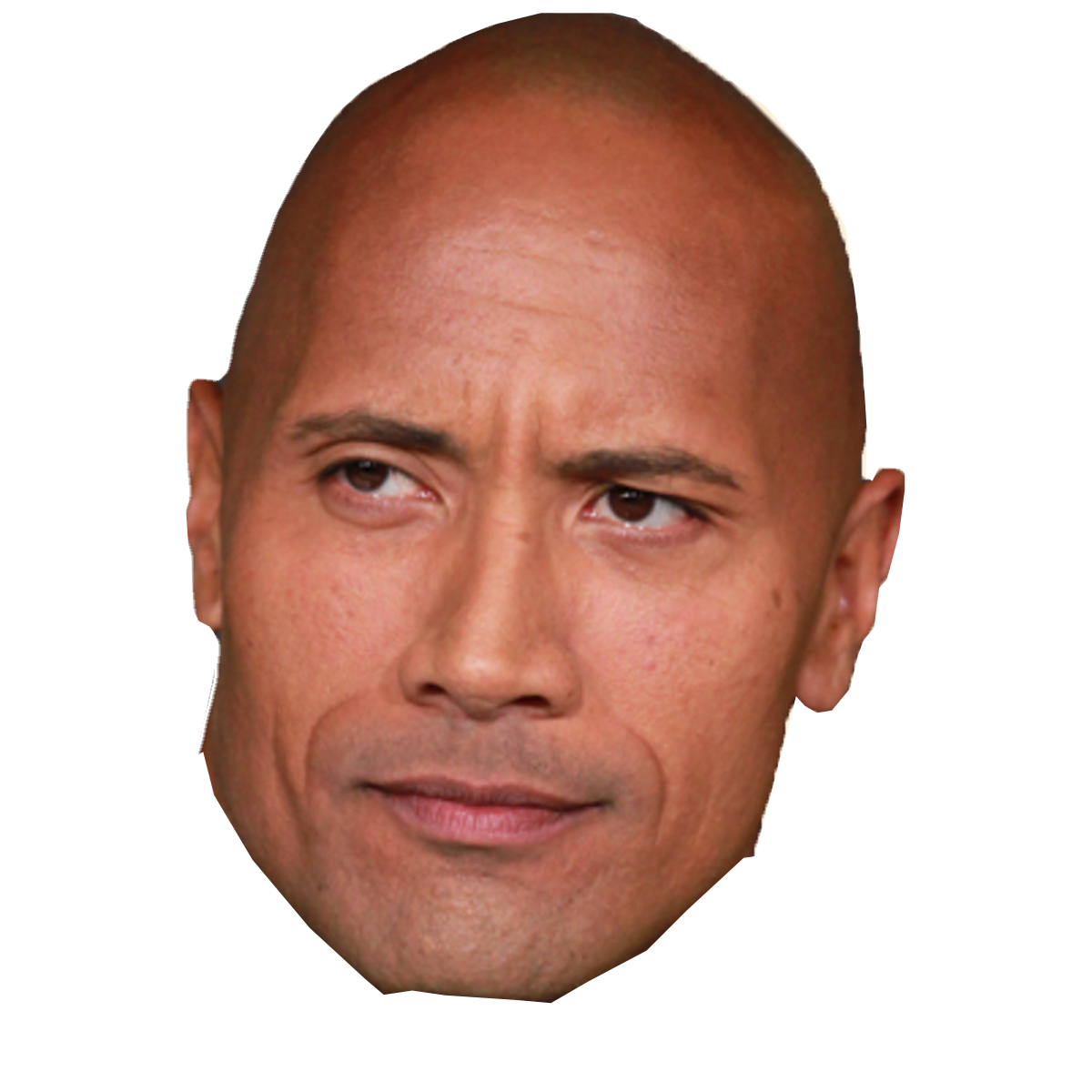 The Rock Head Png