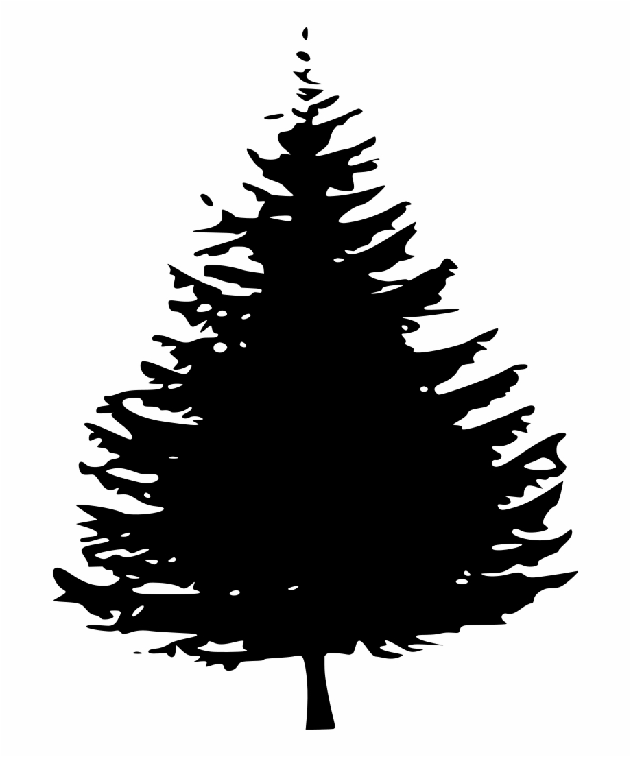 pine tree clipart black and white
