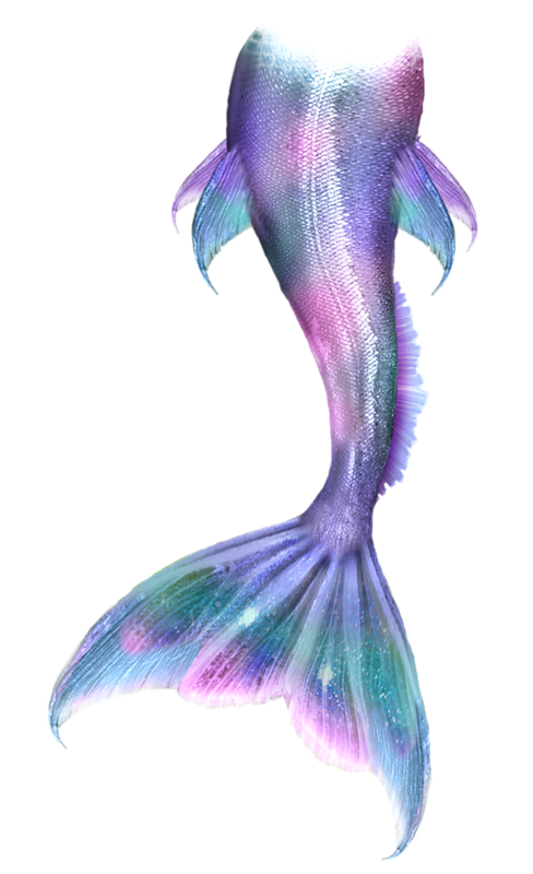 Mermaid Tails Png