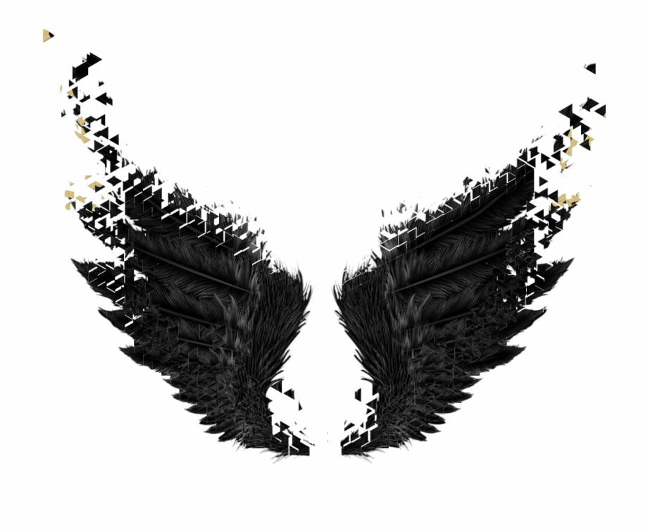 Wings Black Gold Dark Angel Fairytail Black Wings