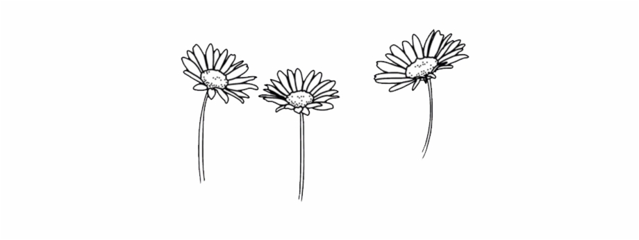 Flower Art Flowers Doodle Freetoedit Instagram Dividers