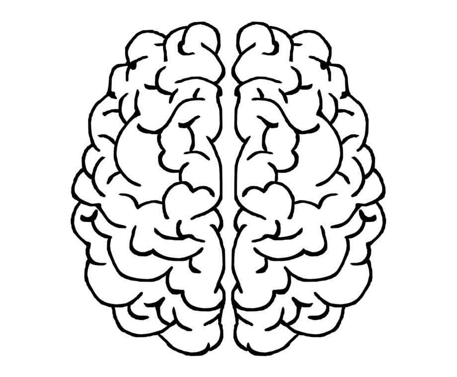 Brain Mind Gray Matter Thought Head Ideas Black