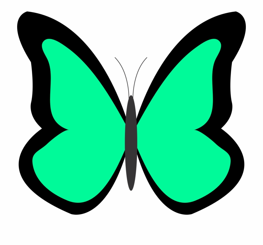 Spring Butterfly Clip Art Background 1 Hd Wallpapers