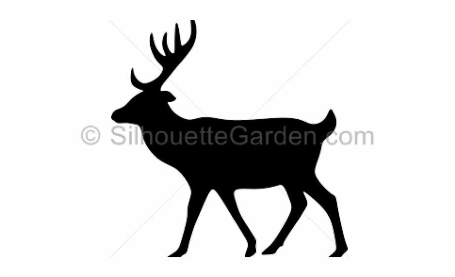 Animal Silhouette Deer Png