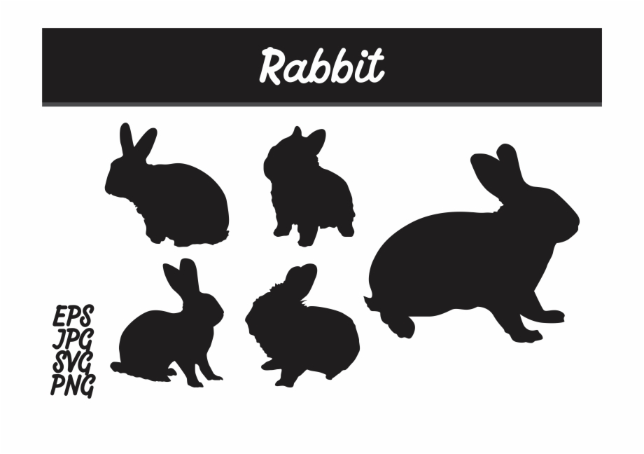 Rabbit Silhouette Set Svg Vector Image Bundle Graphic