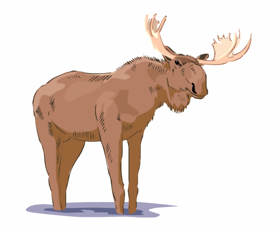 Free Moose Clipart Clip Art
