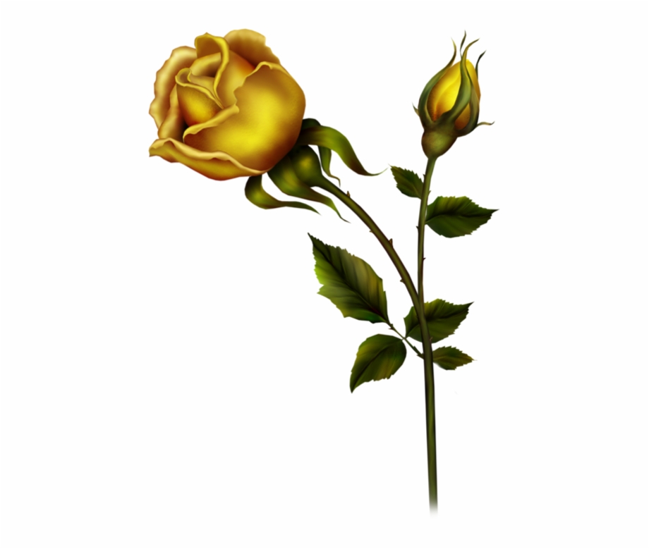 Yellow Rose With Bud Png Clipart 