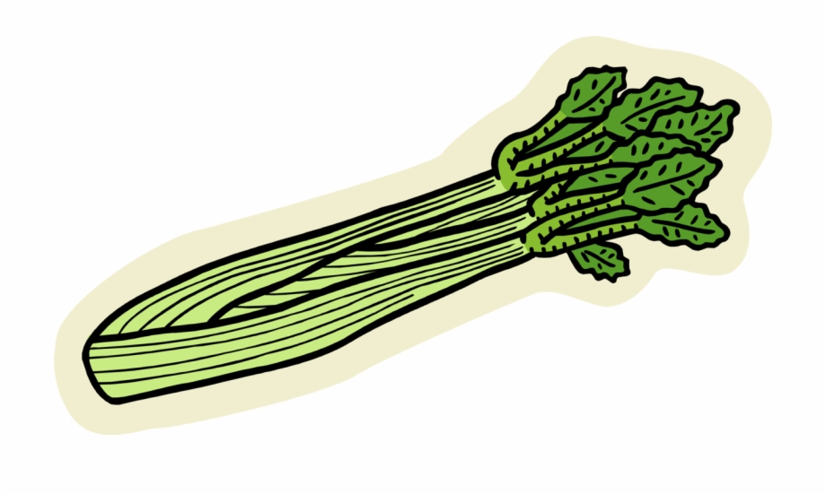 Vector Illustration Of Edible Vegetable Celery Stalk Clipart