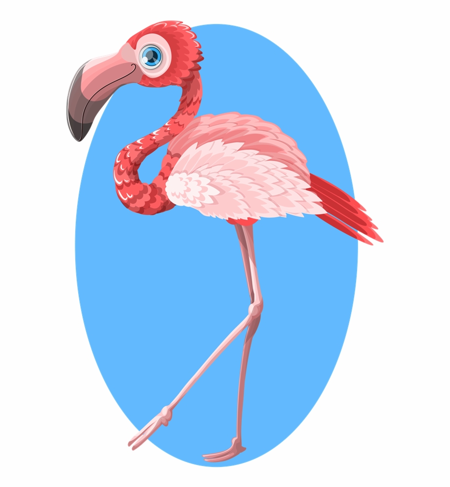Flamingo Free To Use Cliparts Phoenicopterus
