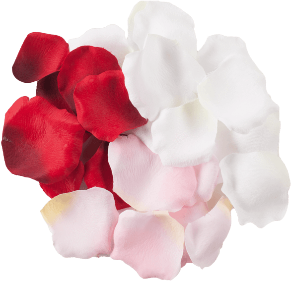 White Rose Petals Png Artificial Flower