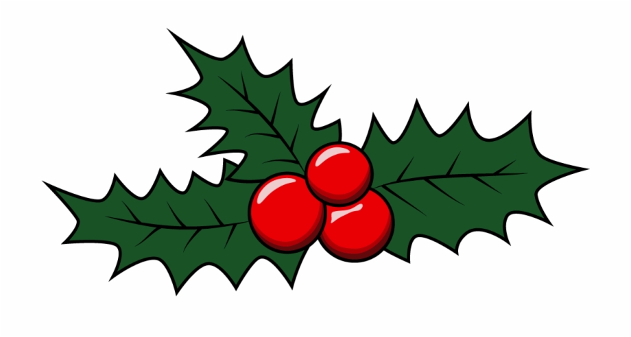 How To Draw Mistletoe Christmas Holidays Easy Step