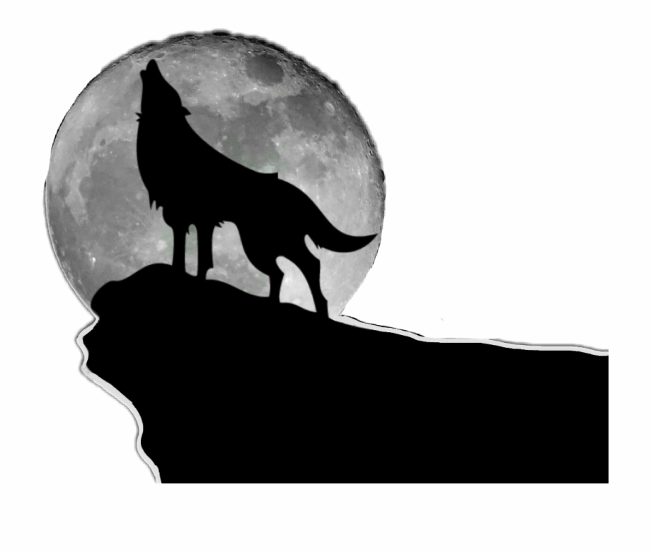 Freetoedit Wolf Moon Silhouette Howling Night Wolf On