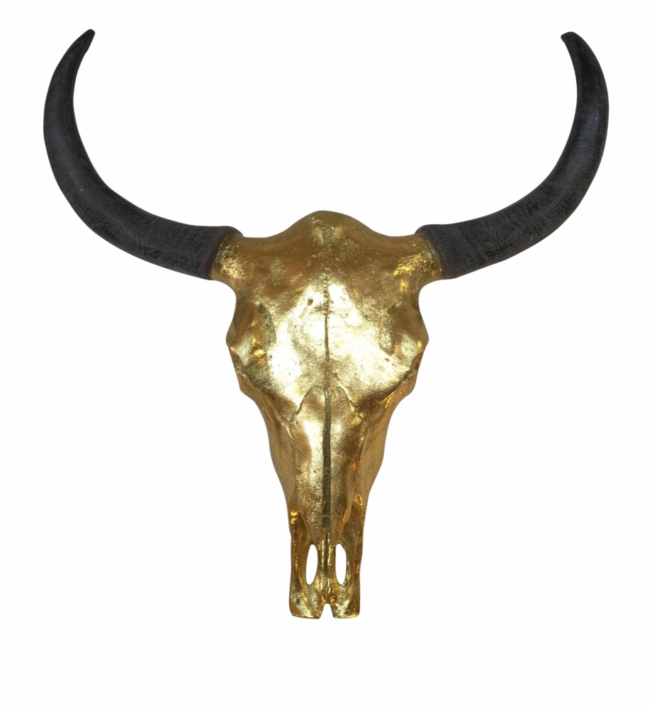 Cow Skull Png Bull