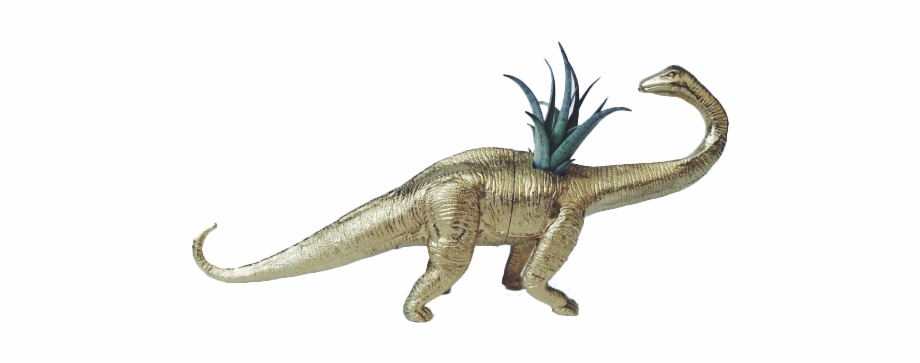 Large Gold Brontosaurus Dinosaur Planter With Air Plant