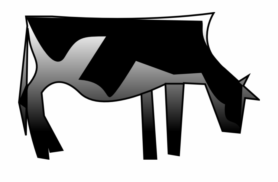 Cow Cattle