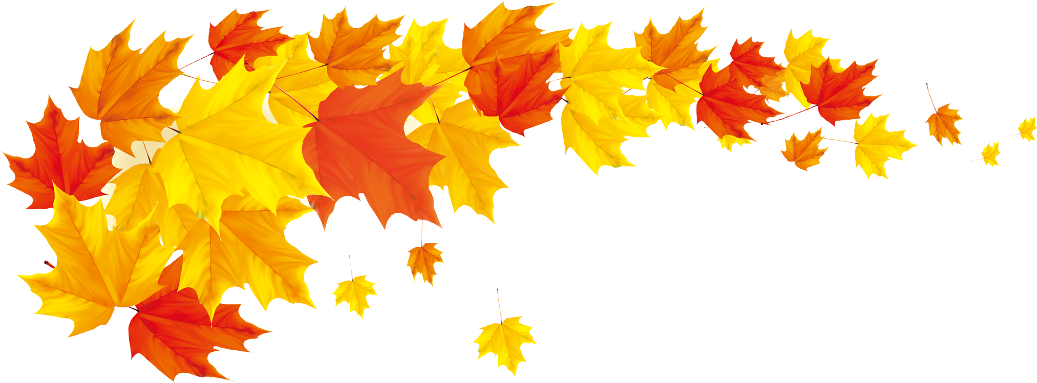 Autumn Leaf Color Banner Clip Art
