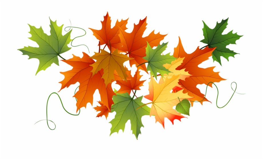 Falling Leaves Clipart Png Fall Leaves No Background