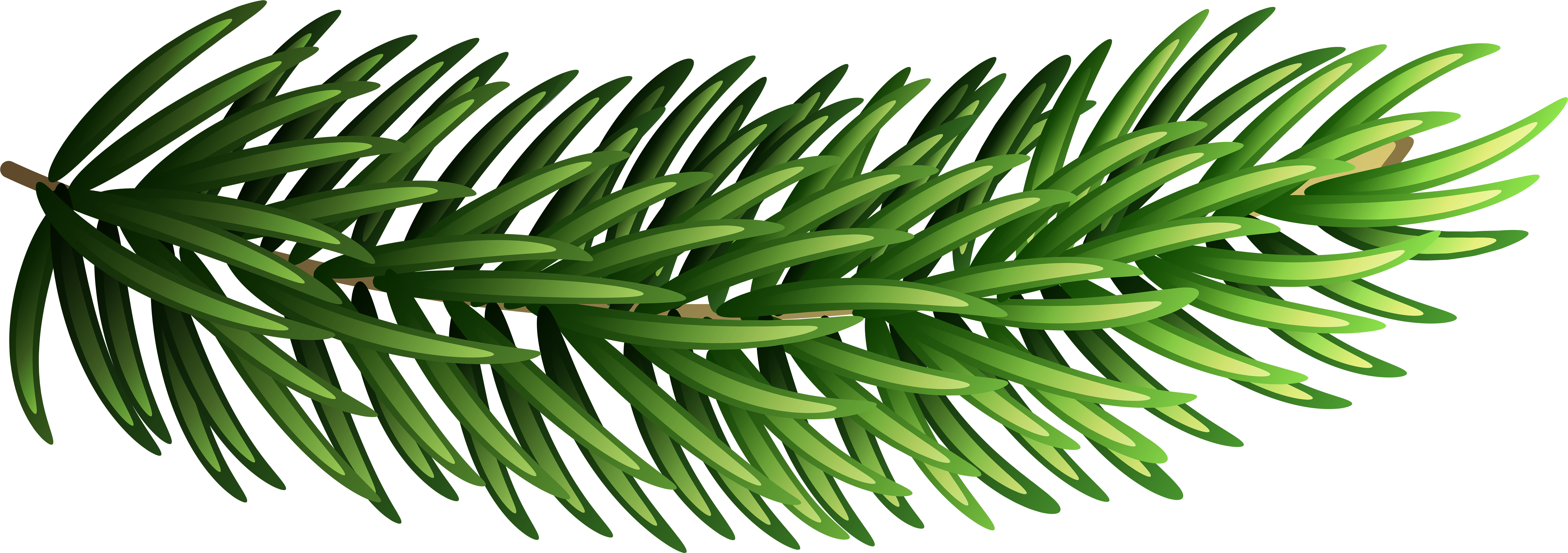 Pine Tree Branches Decor Clip Art Image​  Gallery Yopriceville -  High-Quality Free Images and Transparent PNG Clipart