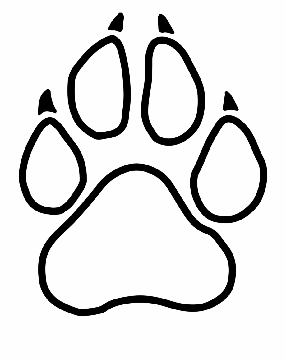 Graphic Of A Little Paw Print White Panther