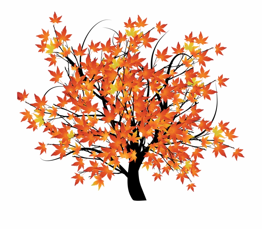 An Autumn Background Scene With Trees Maple Tree