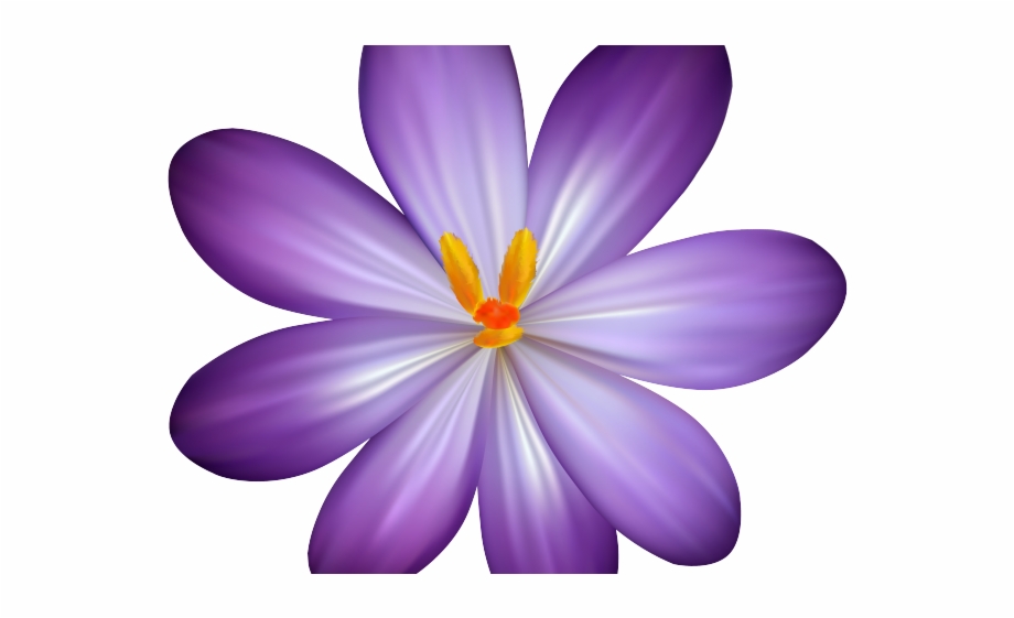 Violet Clipart Lavender Flower Boho Purple Flower Clipart