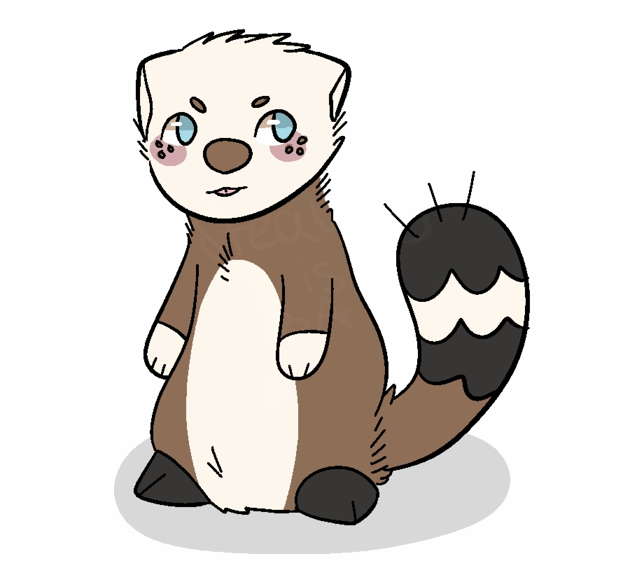 Black Footed Ferret Clipart Draw A Black Footed