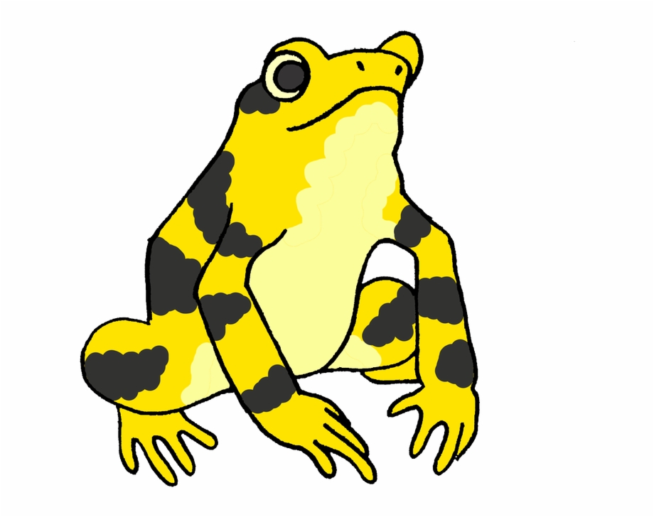 Frogs Clipart Amphibian Cartoon Panamanian Golden Frog