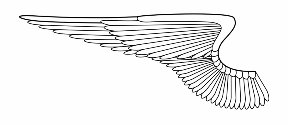 Clipart Wings Transparent Background