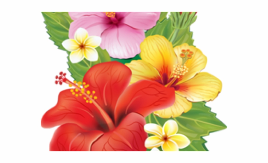 Plumeria Clipart Red Png Flowers