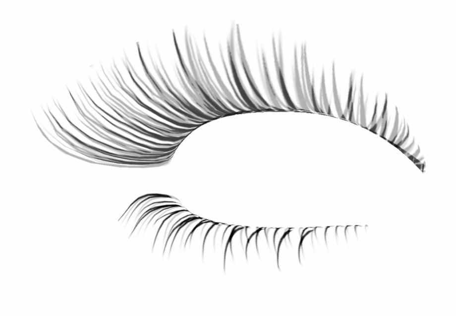 Eye Lash Extension Transparent Background Eyelashes Transparent