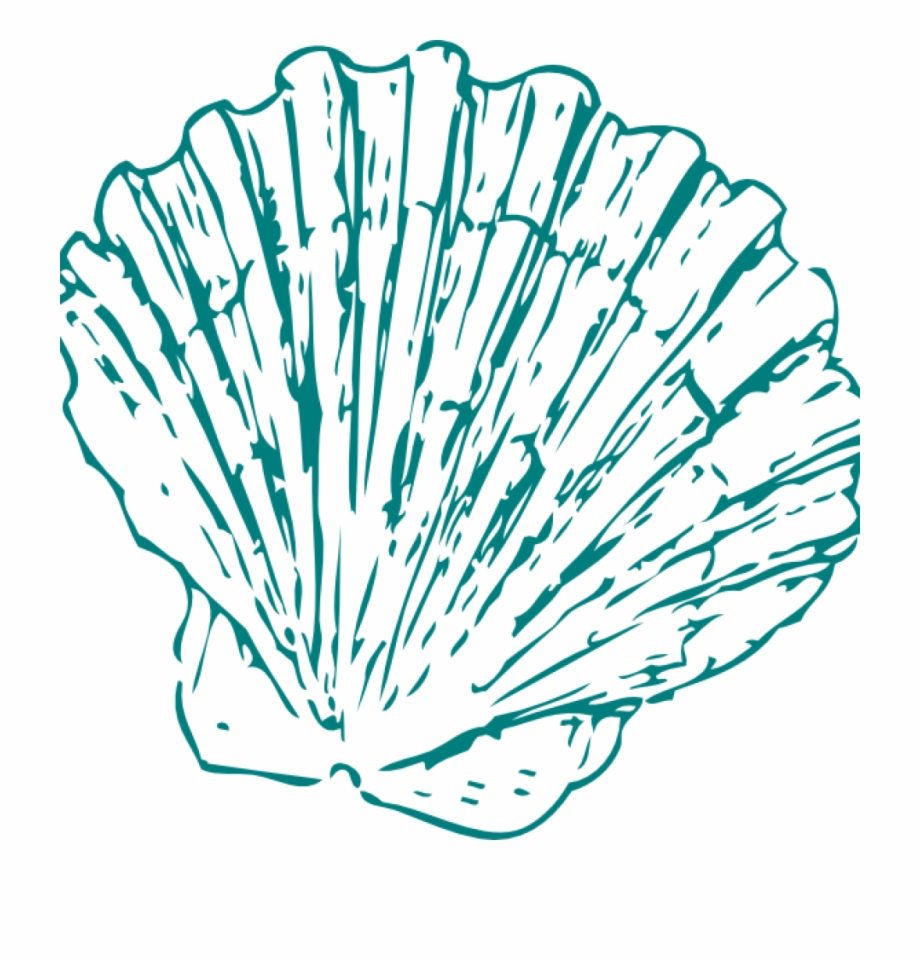 Seashell Clipart Greeen Sea Shell Clip Art At