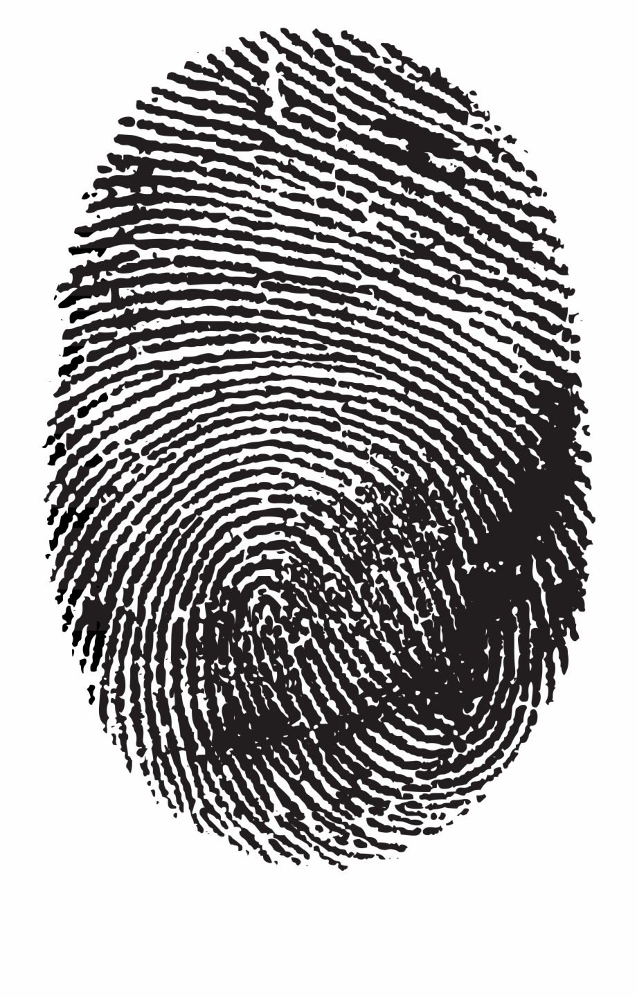 Fingerprint Png Clip Art Transparent Background Finger Print