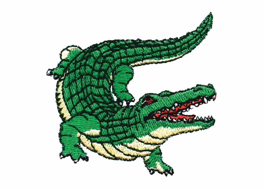 alligator head color drawing
