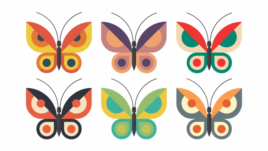 Butterflies Butterfly Flat Vector Illustrator Illustration Brush Footed