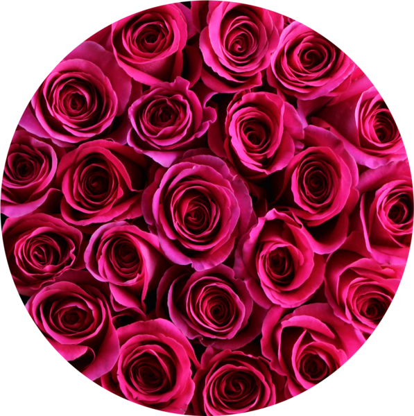 Hot Pink Roses In Round Flower Box Round