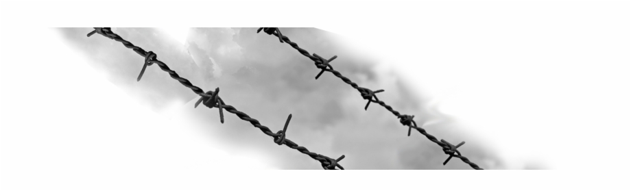 Spine Barbed Wire Png Barbed Wire