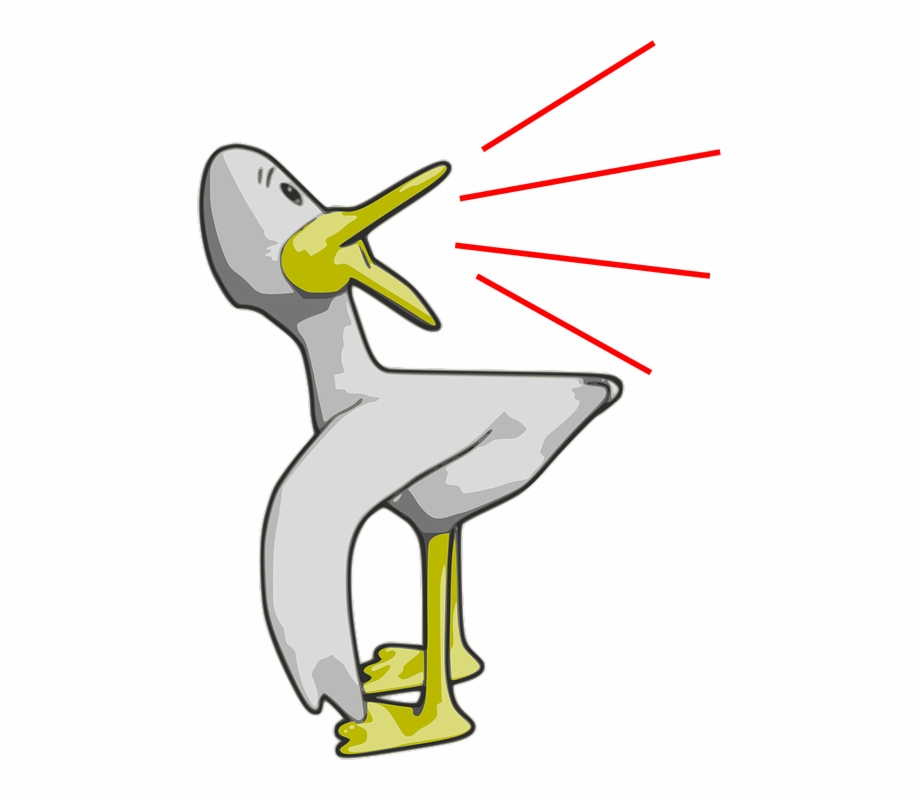 Duck Talking Cartoon Funny Drawing Character Bird Quack