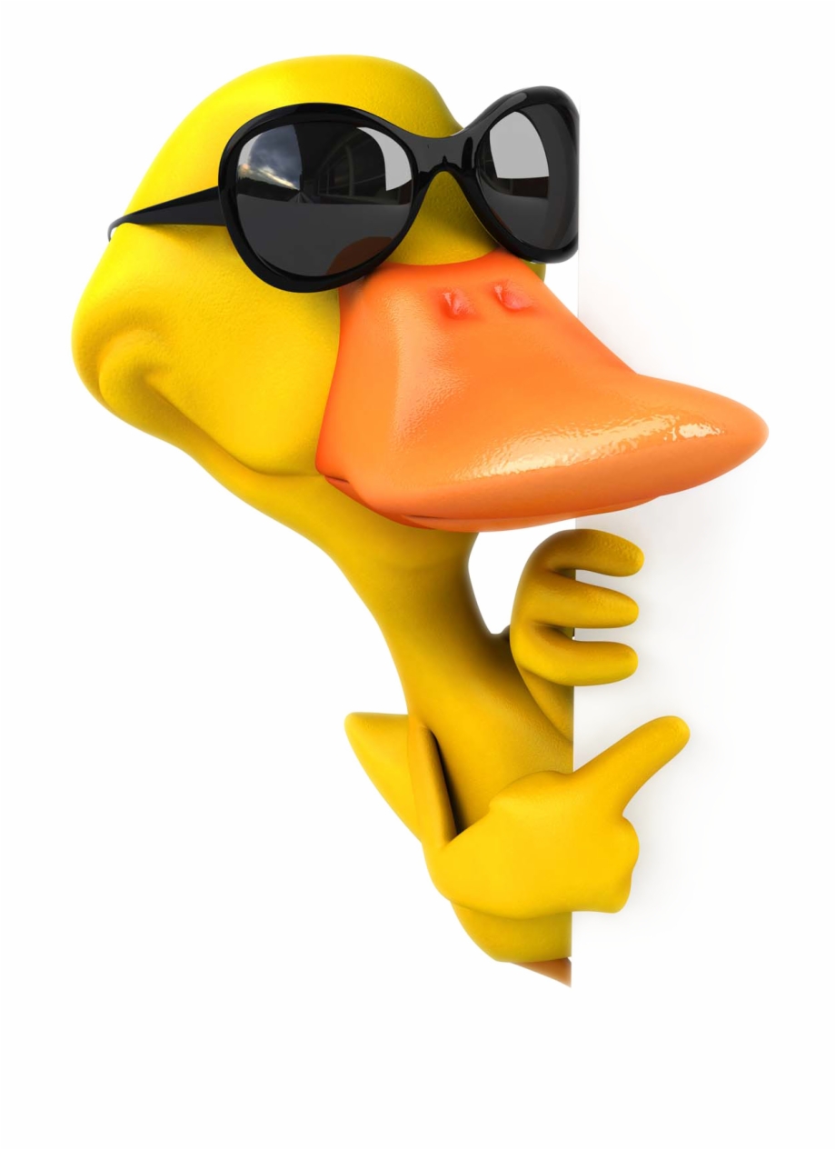 cartoon duck with sunglasses
