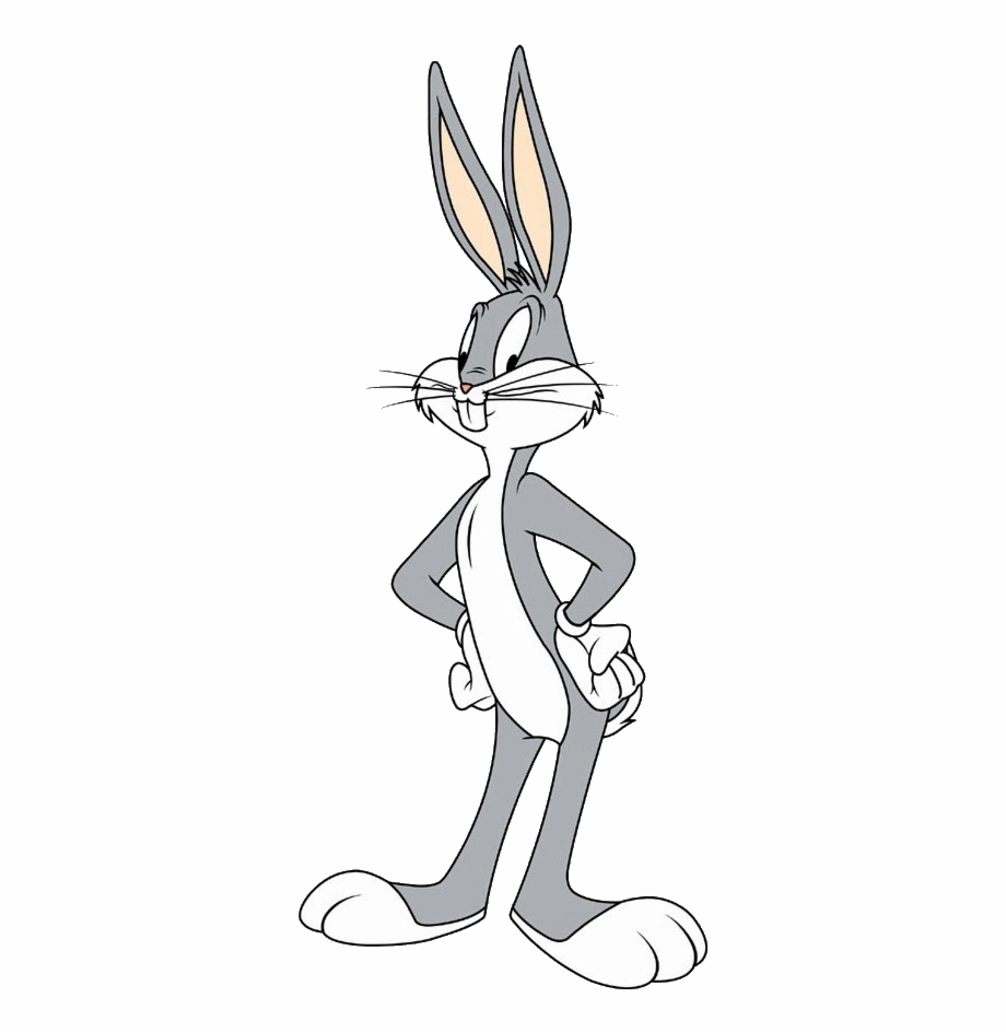 Image Bugs Bunny Daffy Duck Et Bugs Bunny