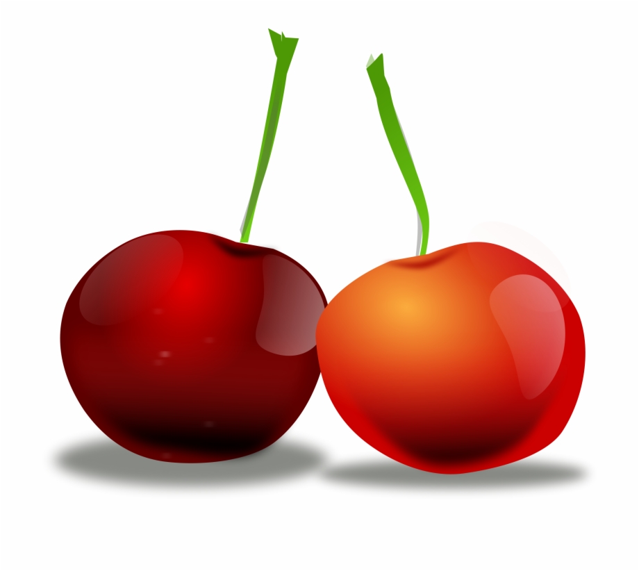 Illustration Of Cherries On A Transparent Background Cherry