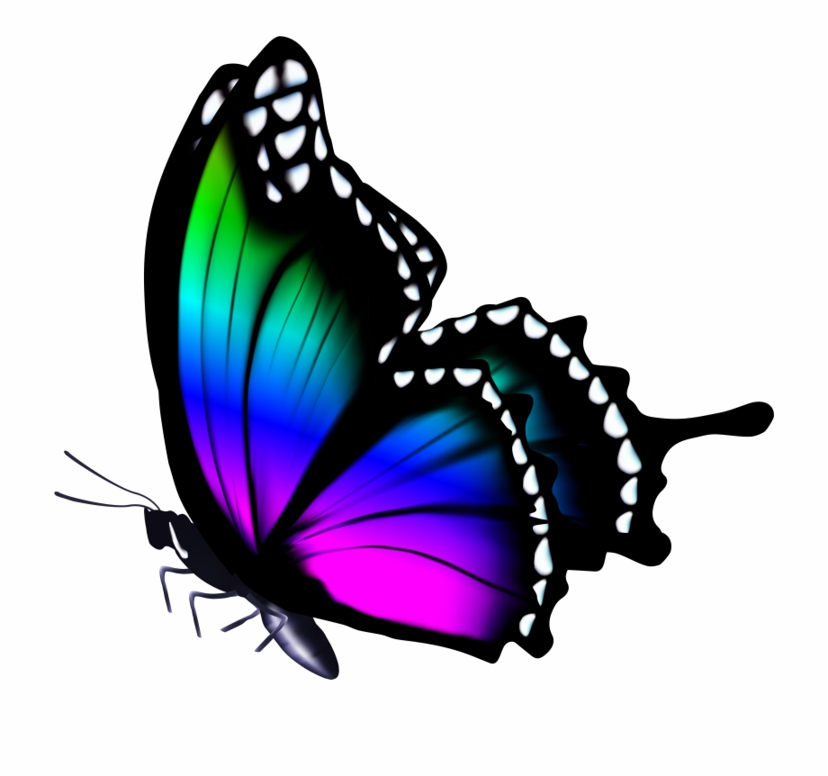Colorful Png Clip Art Image Gallery Yopriceville Butterfly