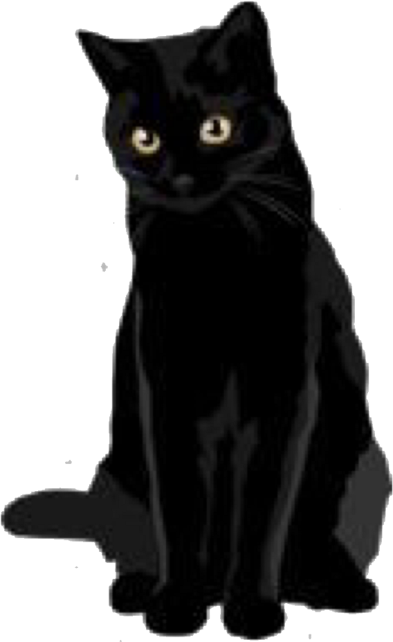 Black cat png images