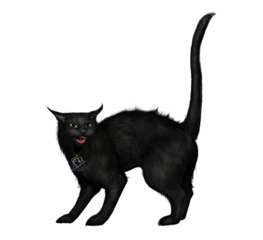Creepy Black Cat Png Picture Black Cat Halloween