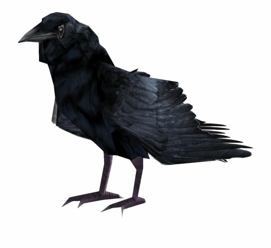 Raven Fallout 4 Raven