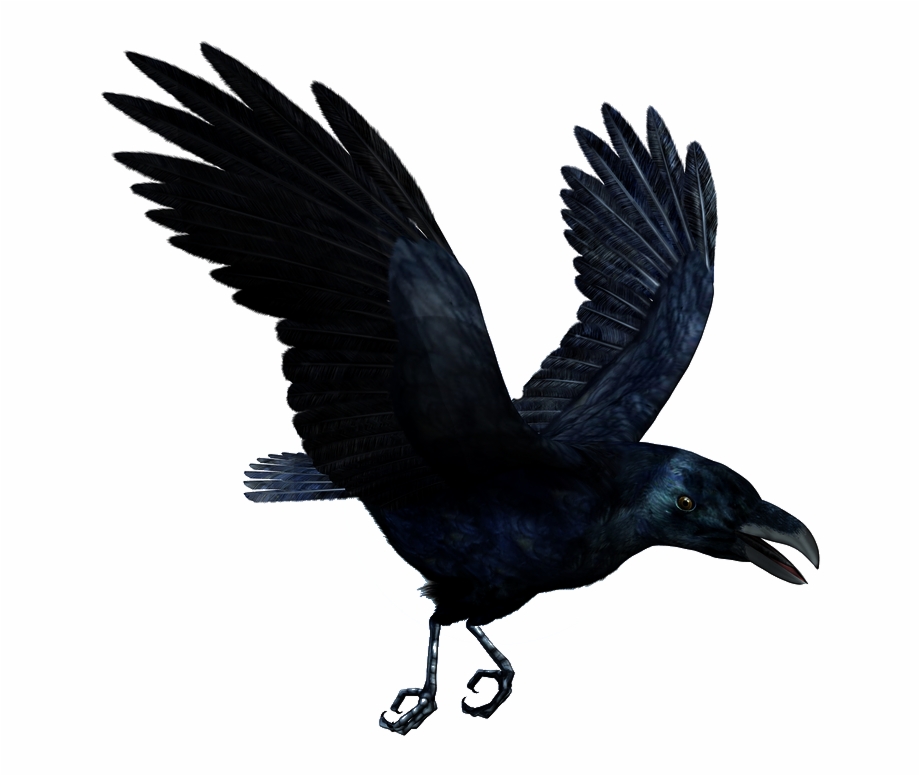 Raven Flying Png Hd1 Mc Ride Back Tattoos