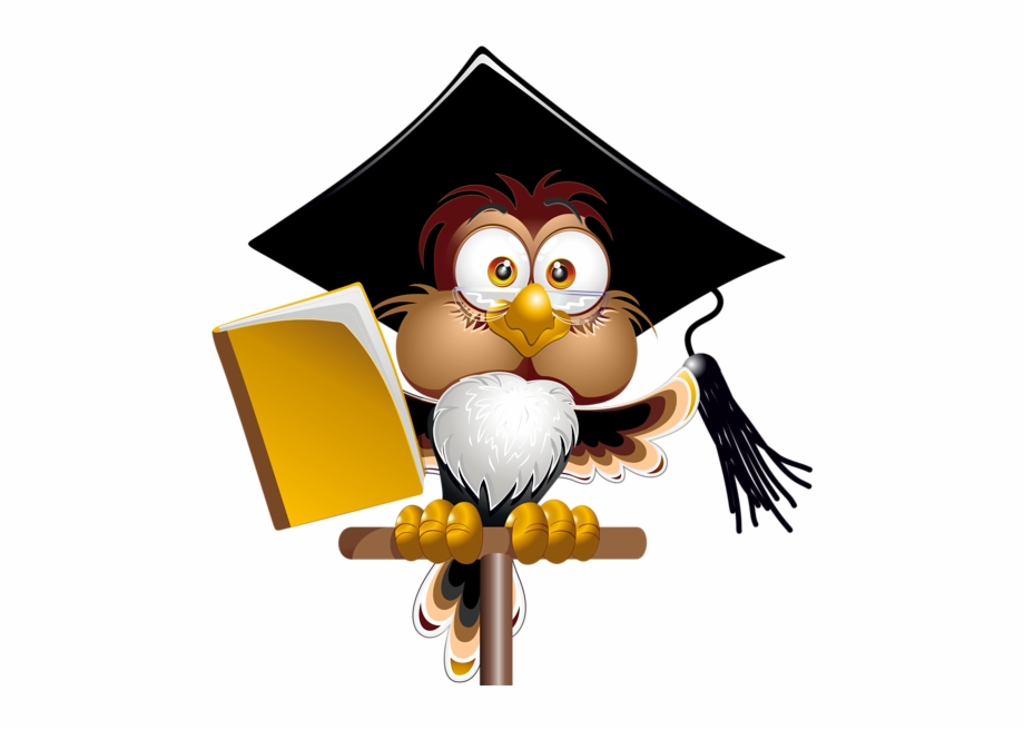 Owl With School Book Png Clipart Image Owl