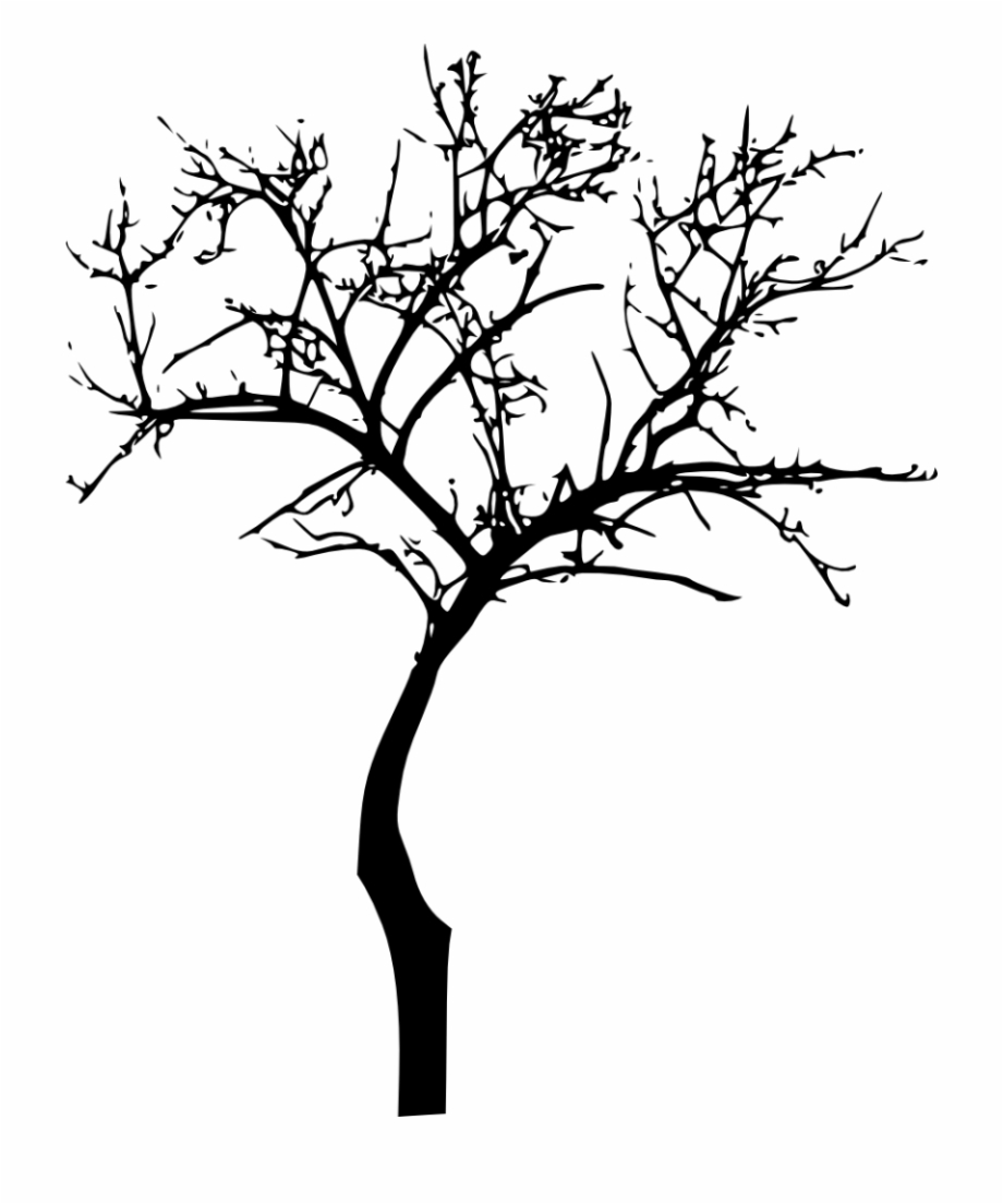 Bare Tree Silhouette Png